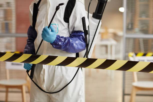 Professional Sewage Cleanup technician working in Shapleigh, ME